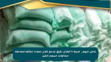 عاجل اليوم.. ضبط 5 أطنان دقيق مدعم خلال حملات مكثفة لملاحقة مخالفات أسعار الخبز